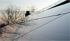 Photovoltaik-Dach mit Baum